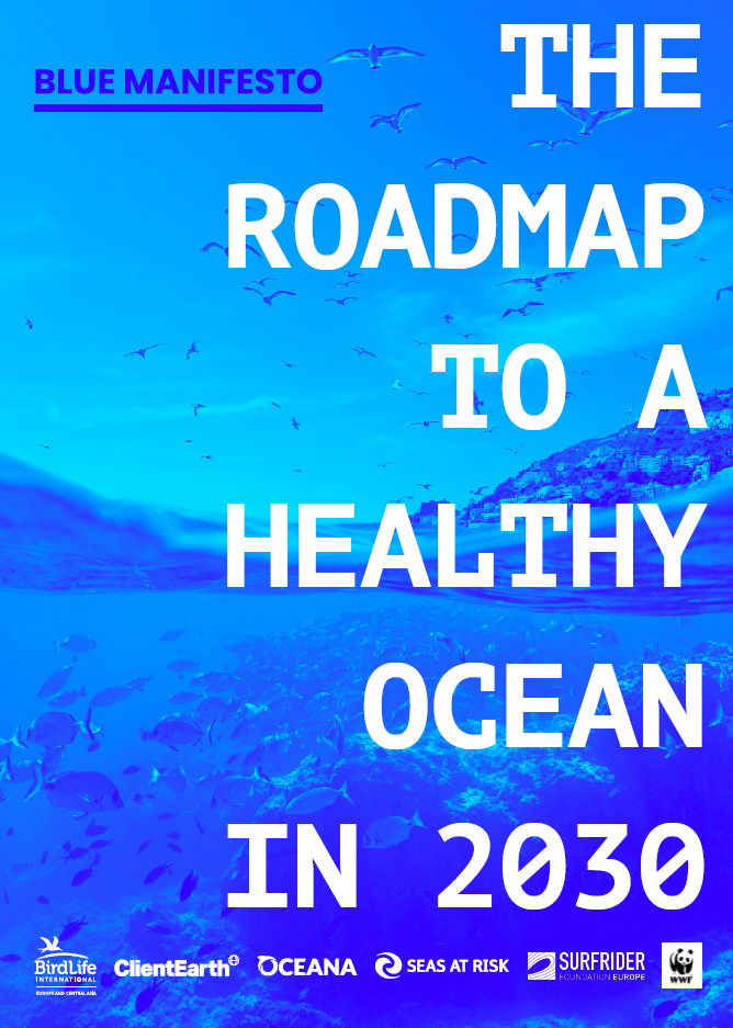 The Blue Manifesto 2024